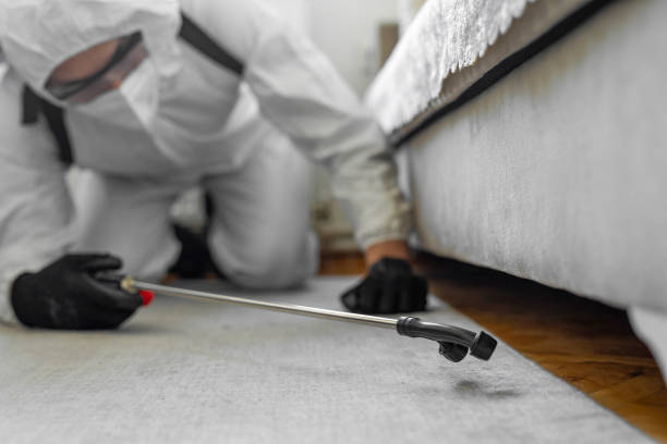 Professional Bed Bug Control technician working in West Simsbury, CT
