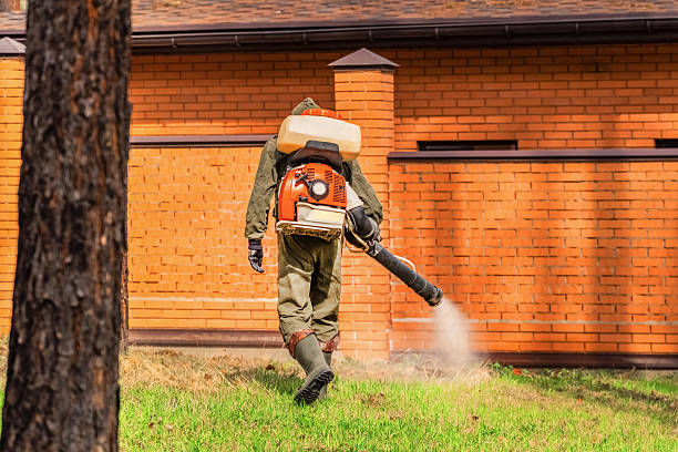 Trusted Bed Bug Control service in West Simsbury, CT - Nex Pest Control